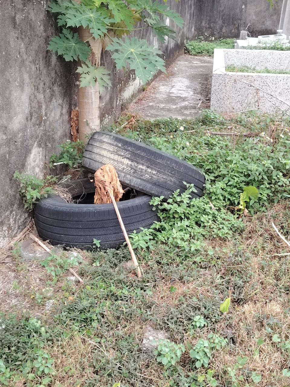 WhatsApp Image 2025-08-07 at 11.01.14 (1)