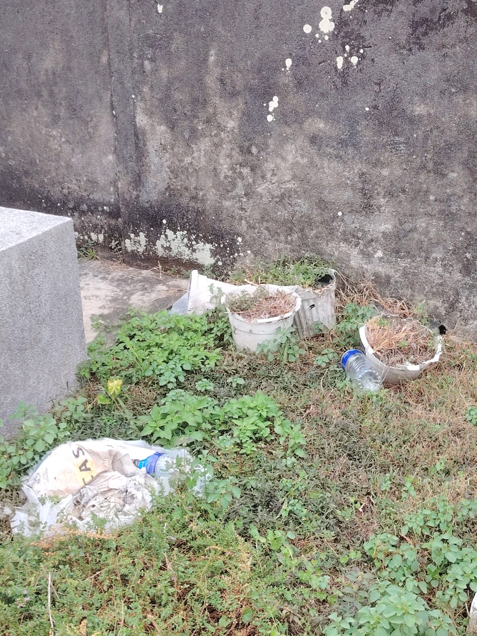 WhatsApp Image 2025-08-07 at 11.01.14 (2)