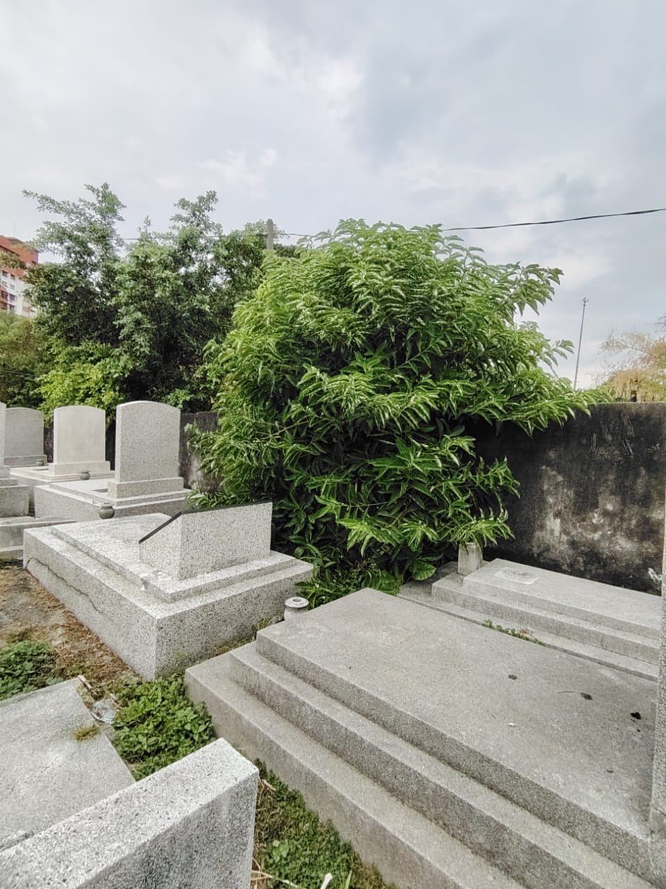 WhatsApp Image 2025-08-07 at 11.01.14