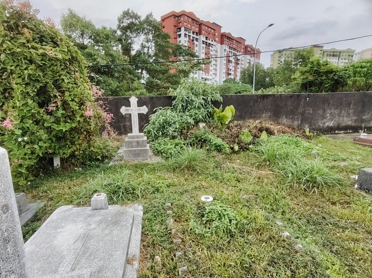 WhatsApp Image 2025-08-07 at 11.01.15 (1)