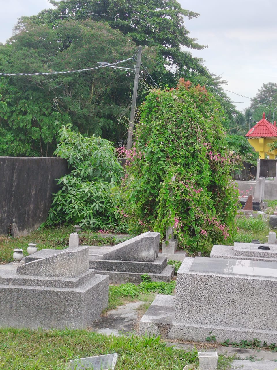 WhatsApp Image 2025-08-07 at 11.01.15 (2)