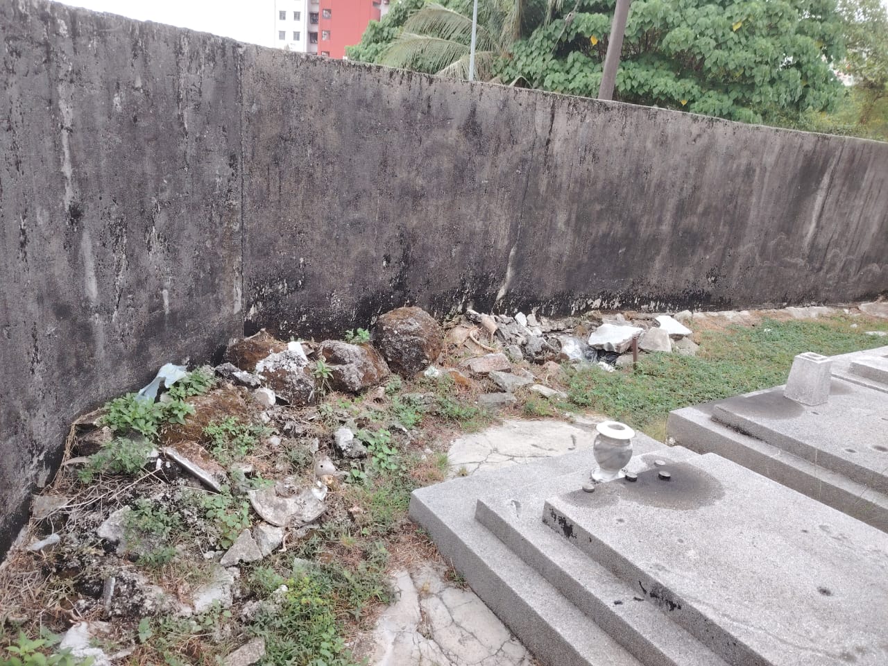 WhatsApp Image 2025-08-07 at 11.01.16