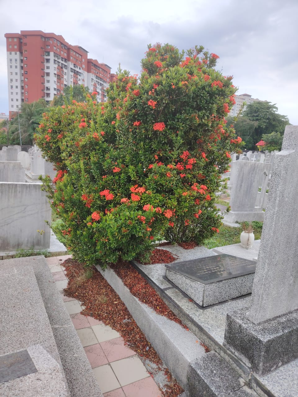 WhatsApp Image 2025-08-07 at 11.01.17