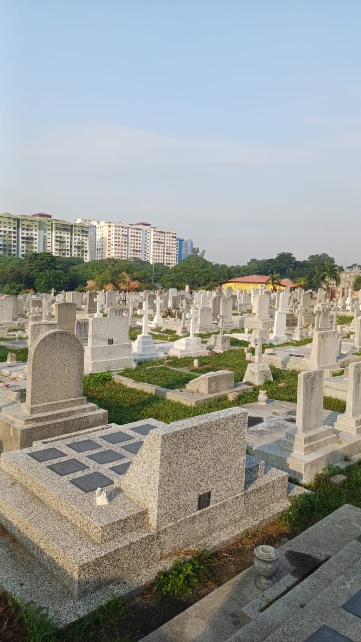 WhatsApp Image 2025-08-08 at 08.00.26 (1)