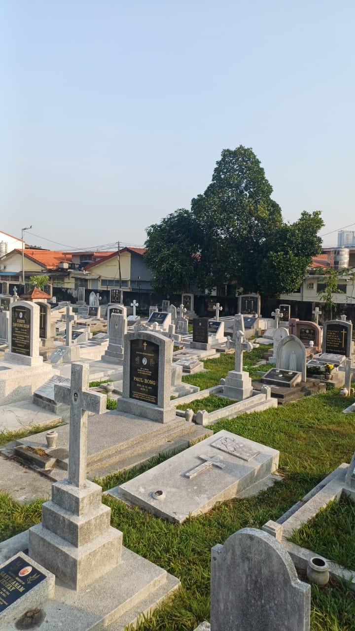 WhatsApp Image 2025-08-08 at 08.00.26